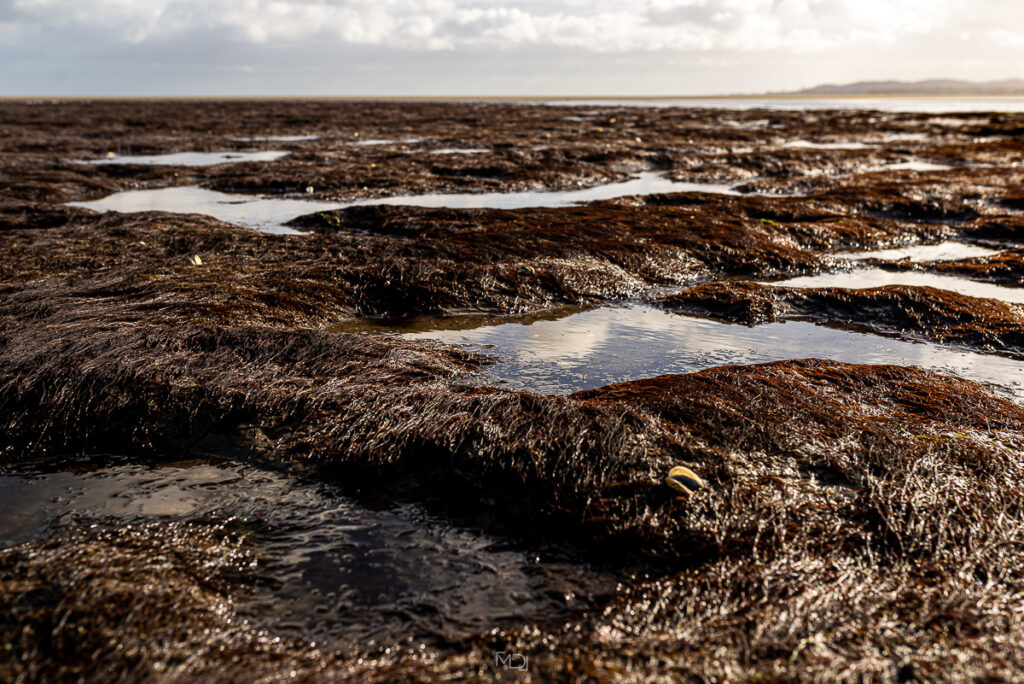 Dublin - Sandymount Beach