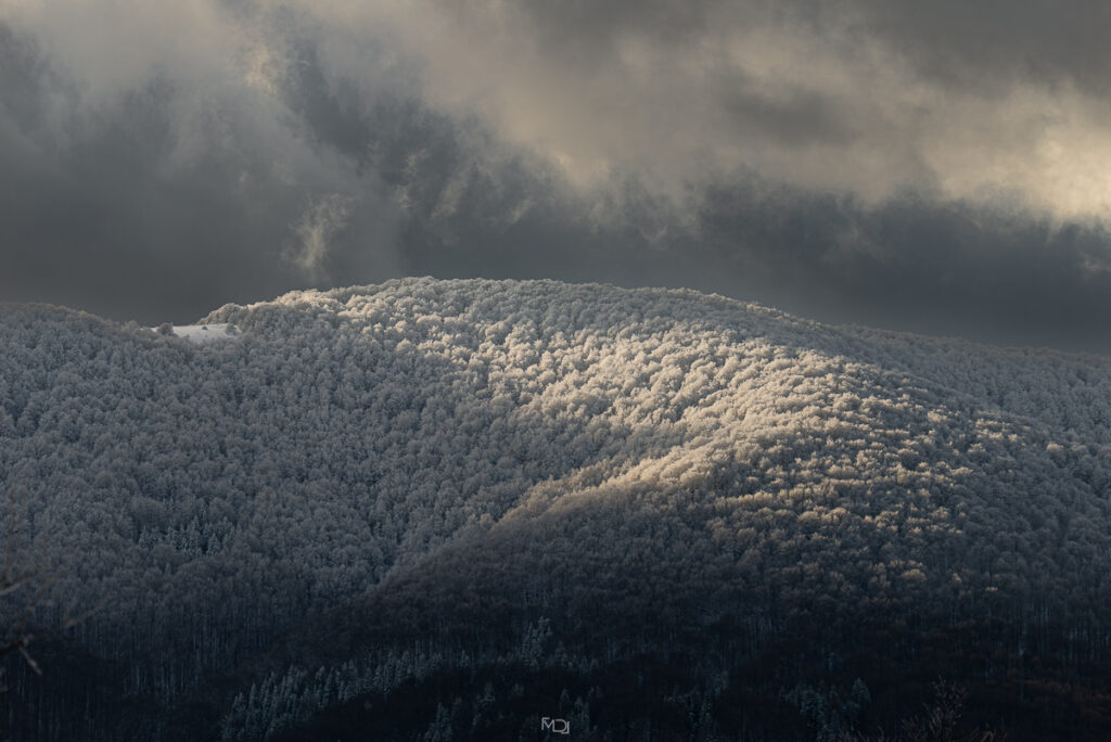 Bieszczady zimą