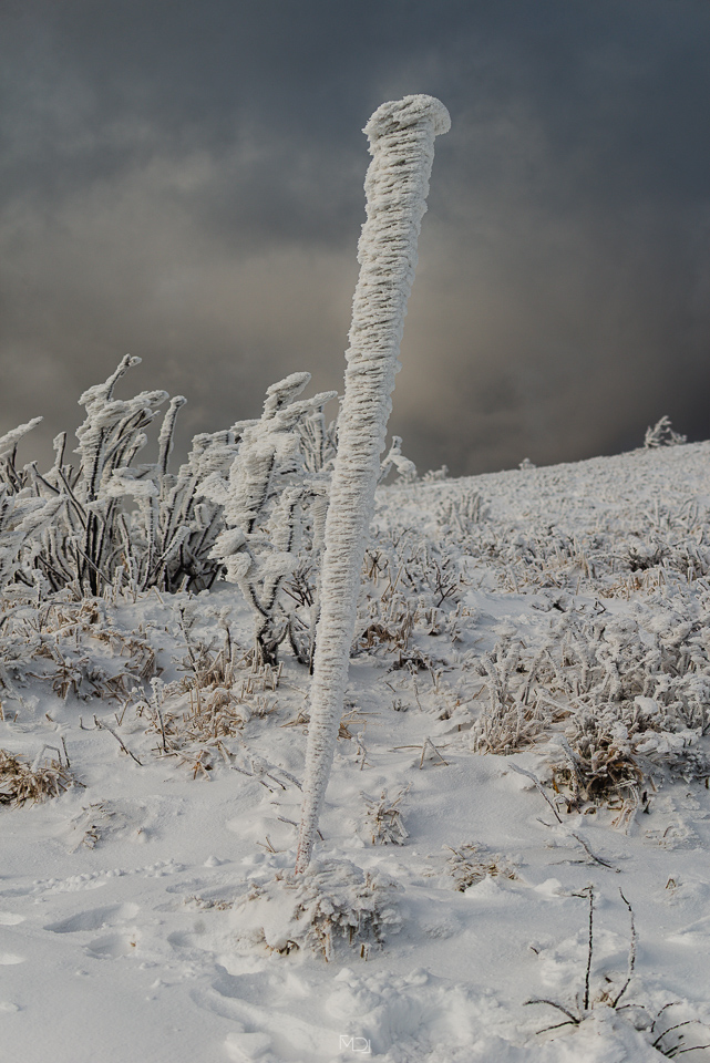 Połonina Wetlińska