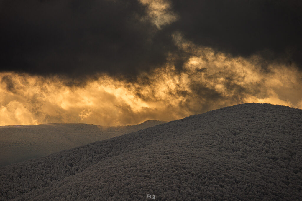 Połonina Wetlińska