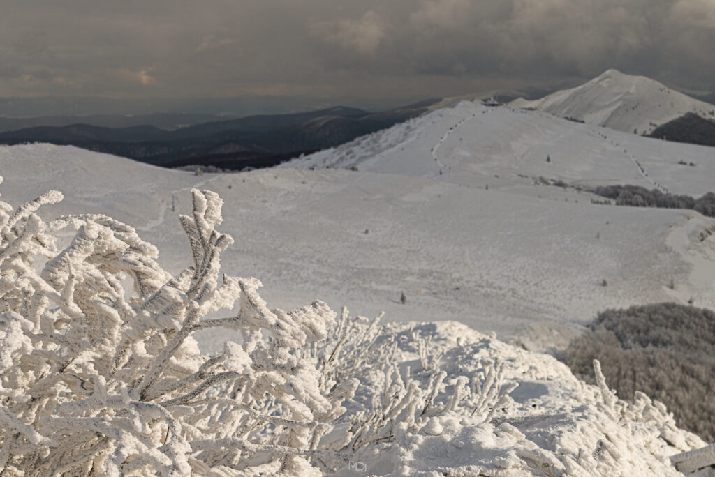 Połonina Wetlińska