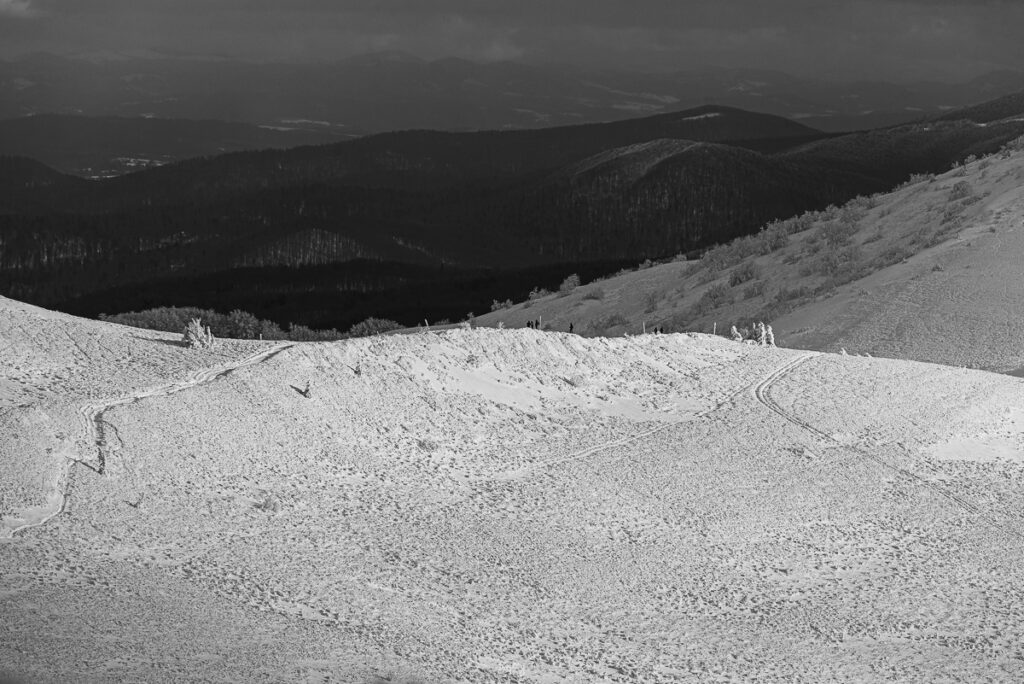 Połonina Wetlińska