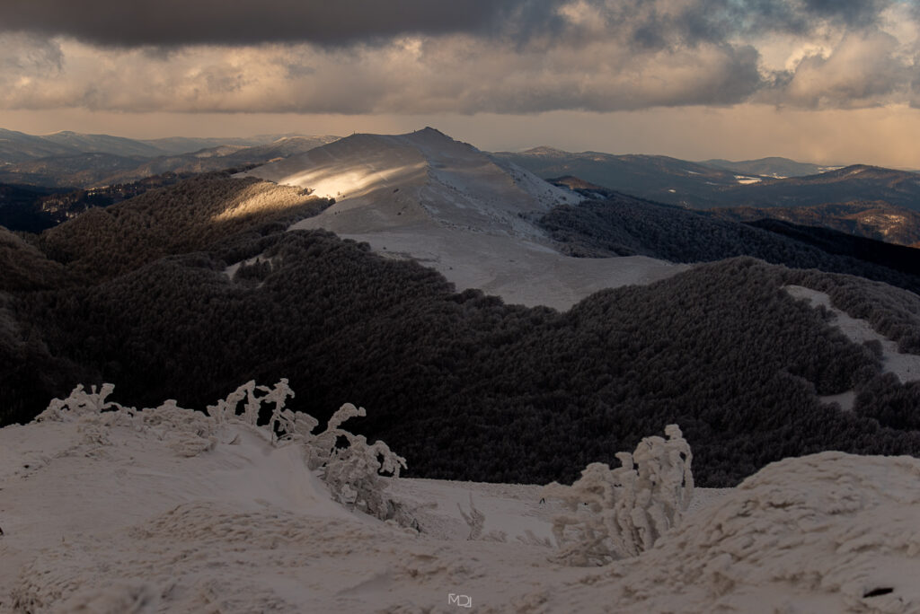 Smerek, Bieszczady, Polska