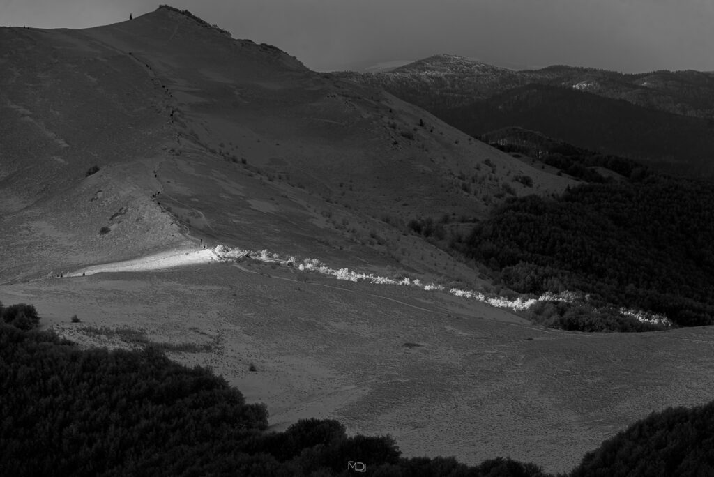 Smerek, Bieszczady, Polska
