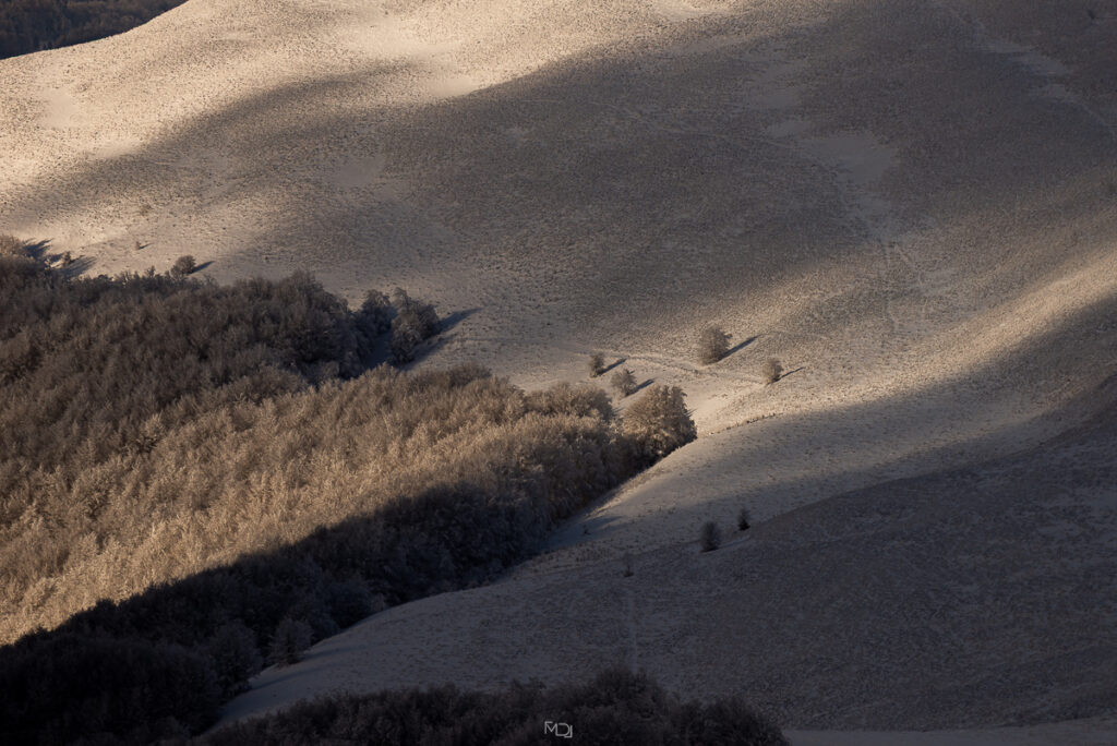 Smerek, Bieszczady, Polska