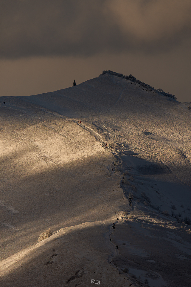 Smerek, Bieszczady, Polska
