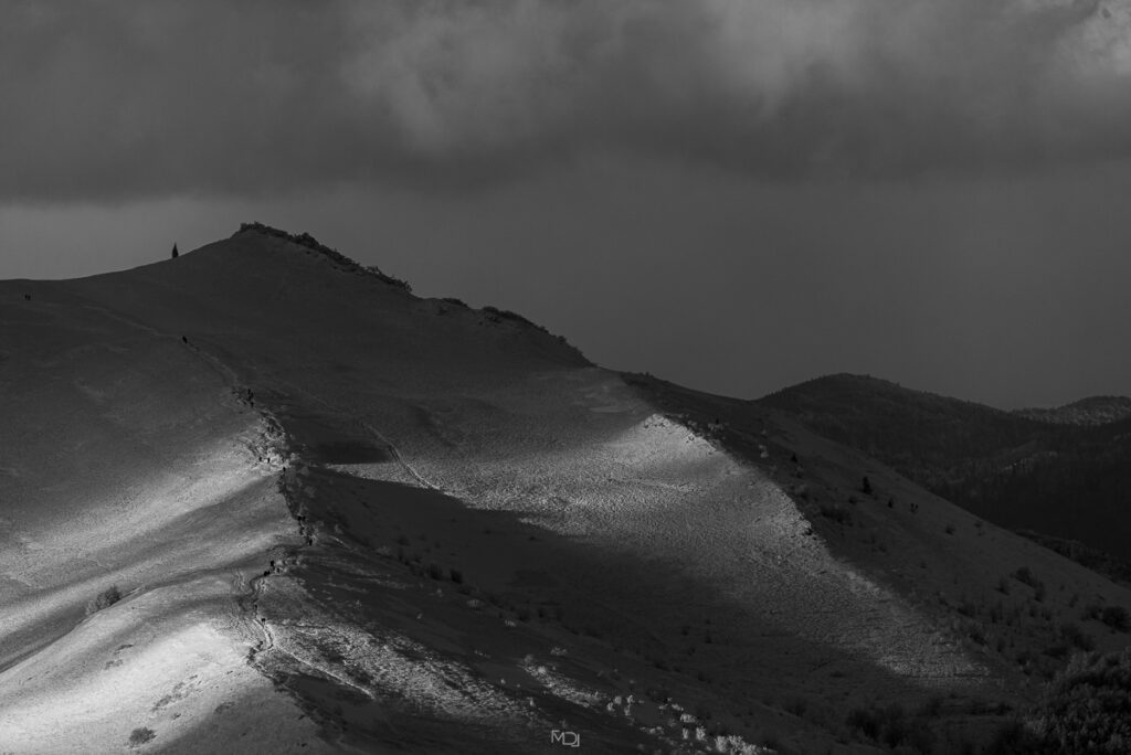 Smerek, Bieszczady, Polska