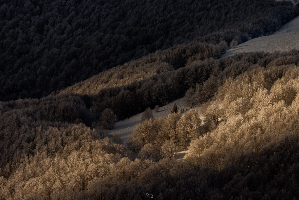 Połonina Wetlińska