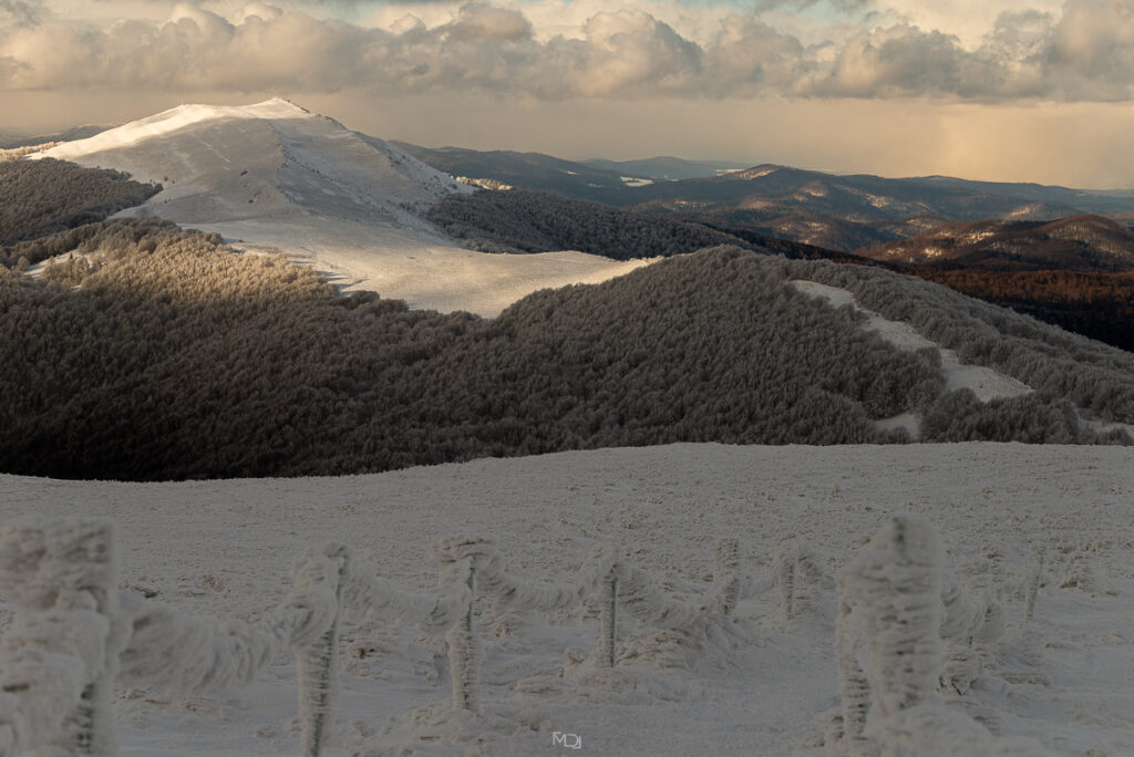 Smerek, Bieszczady, Polska