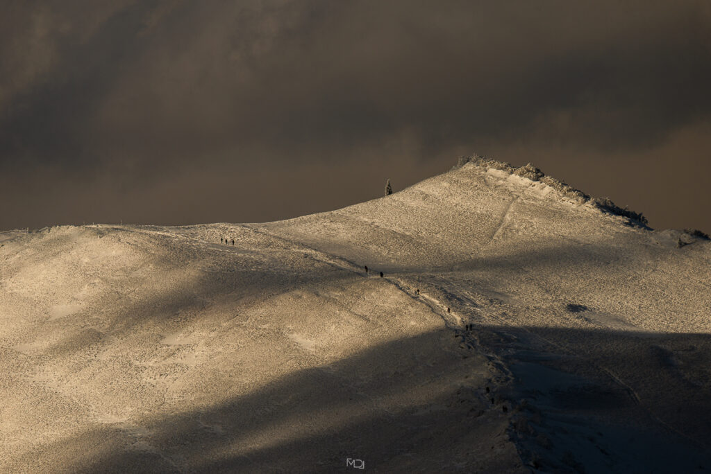 Smerek, Bieszczady, Polska