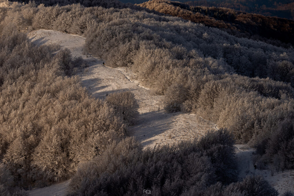 Połonina Wetlińska