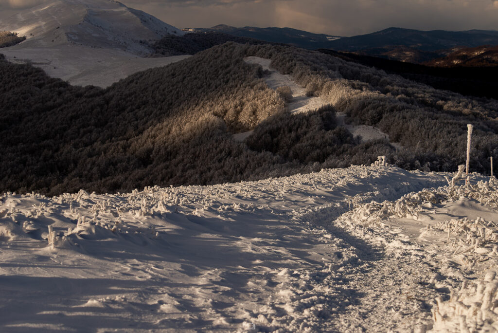 Połonina Wetlińska