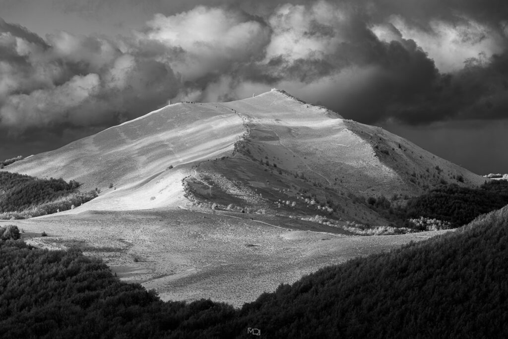 Smerek, Bieszczady, Polska