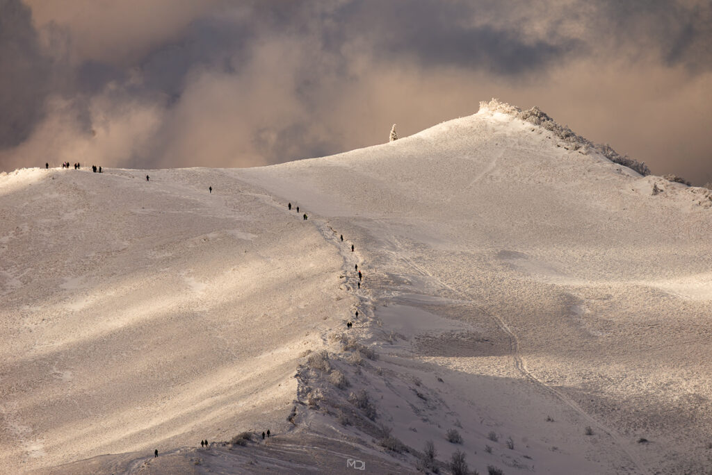 Smerek, Bieszczady, Polska