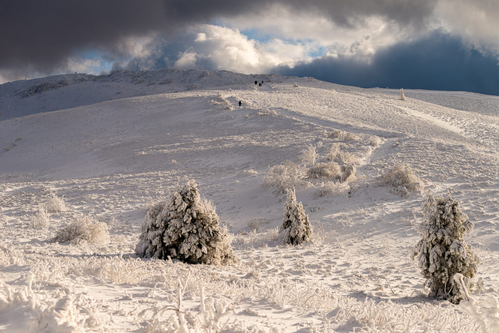Połonina Wetlińska