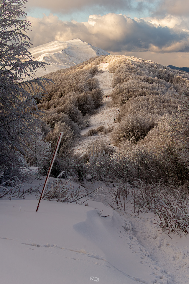 Smerek, Bieszczady, Polska