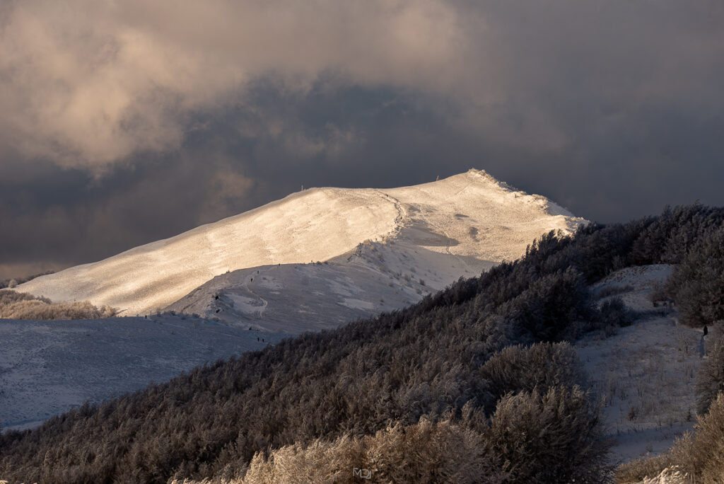Smerek, Bieszczady, Polska