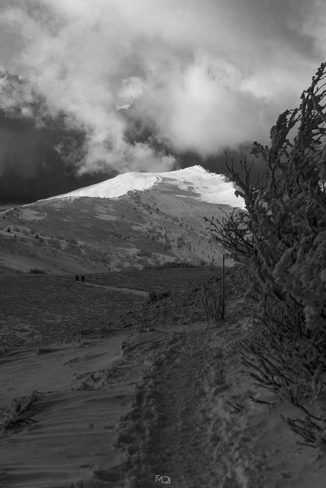 Smerek, Bieszczady, Polska