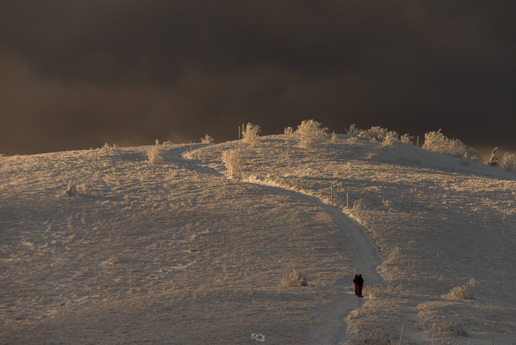 Połonina Wetlińska