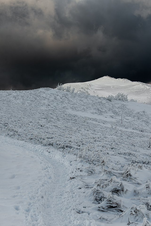 Smerek, Bieszczady, Polska