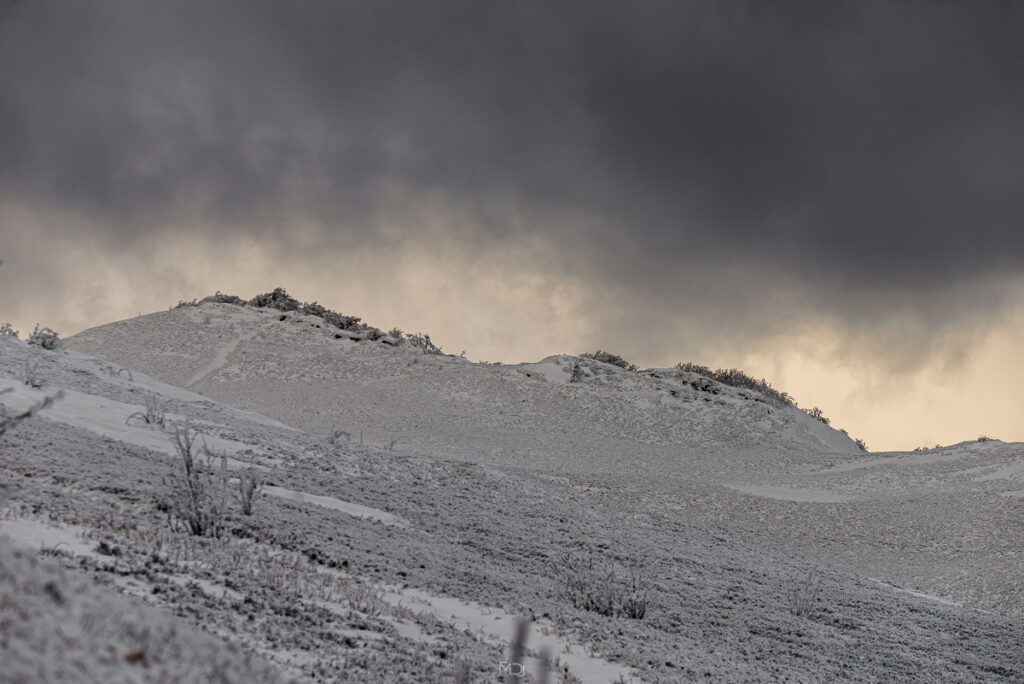 Smerek, Bieszczady, Polska