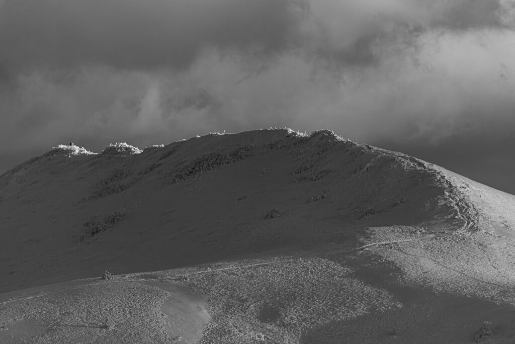 Połonina Wetlińska