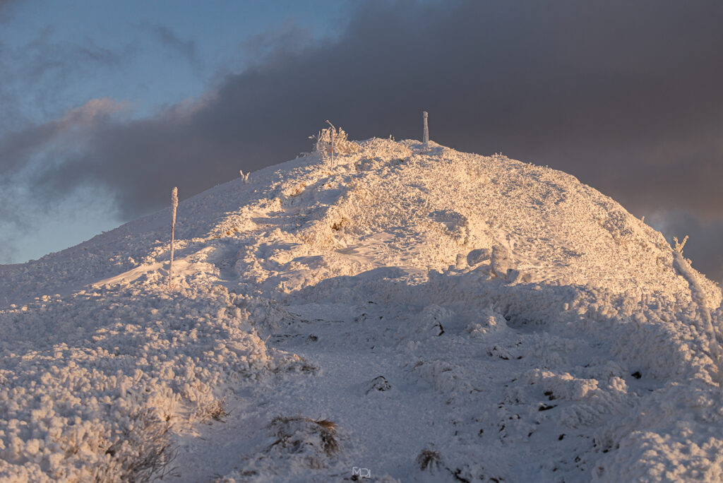Smerek, Bieszczady, Polska