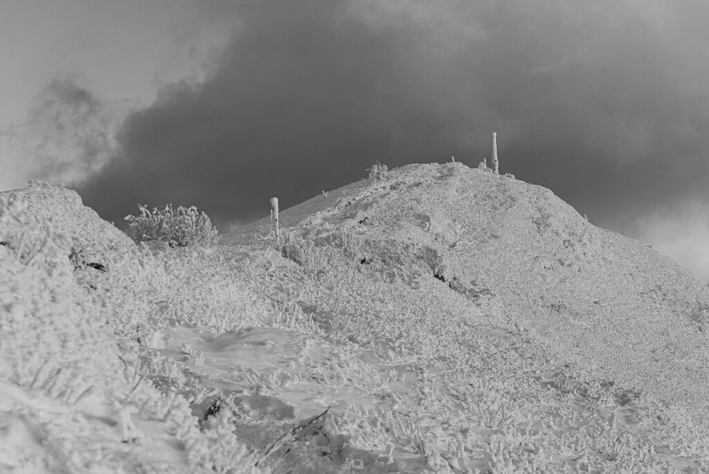 Smerek, Bieszczady, Polska