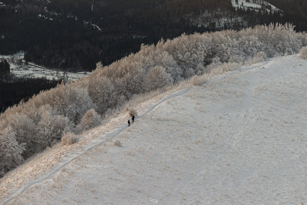 Smerek, Bieszczady, Polska