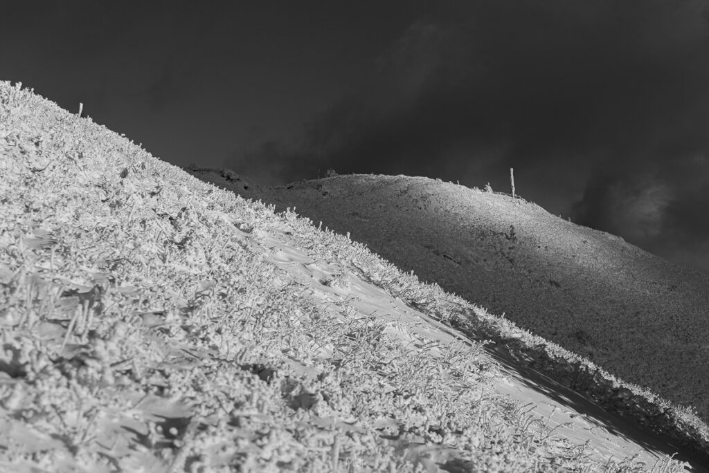 Smerek, Bieszczady, Polska