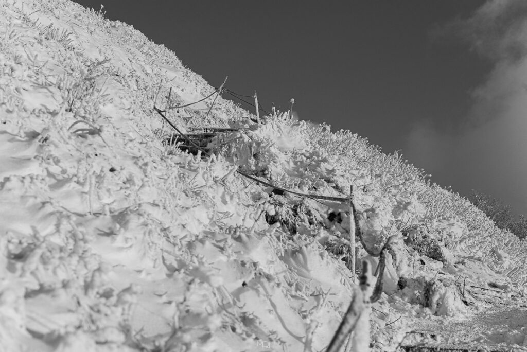 Smerek, Bieszczady, Polska
