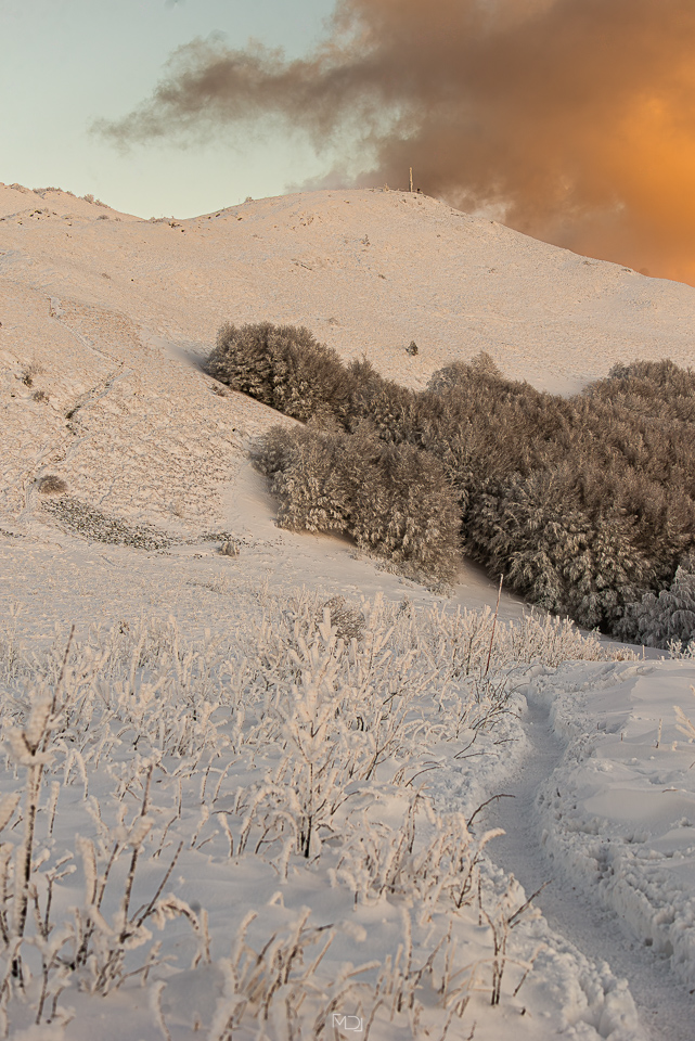 Smerek, Bieszczady, Polska