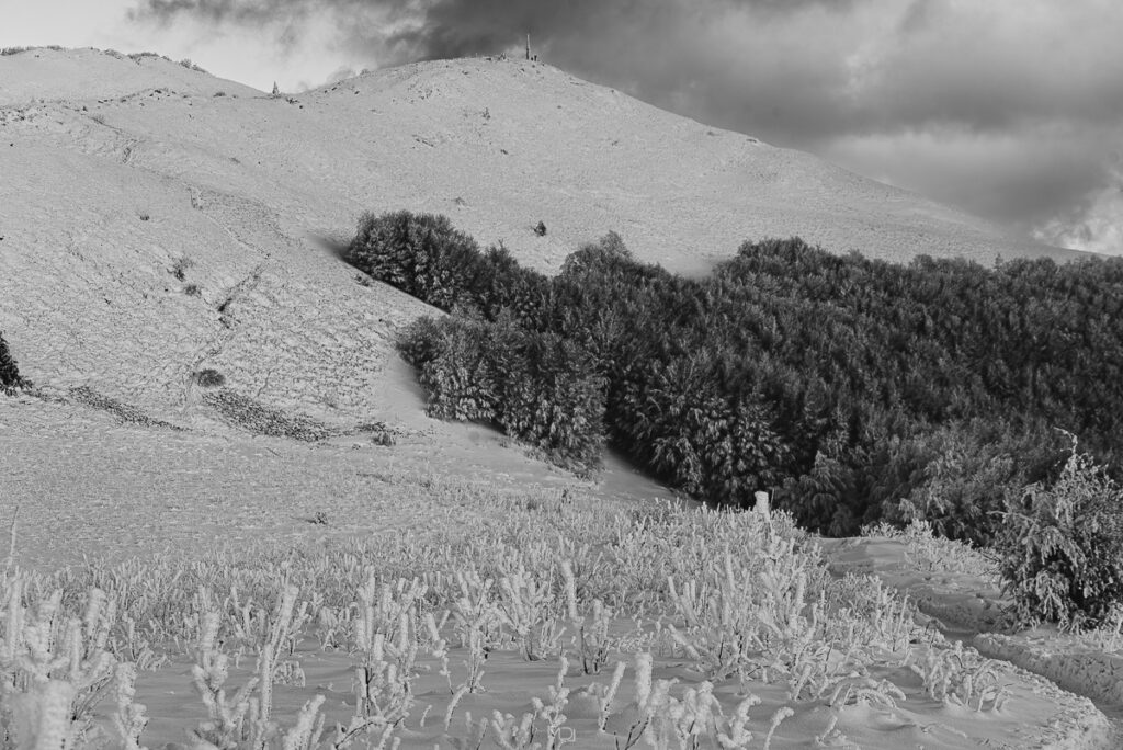 Smerek, Bieszczady, Polska