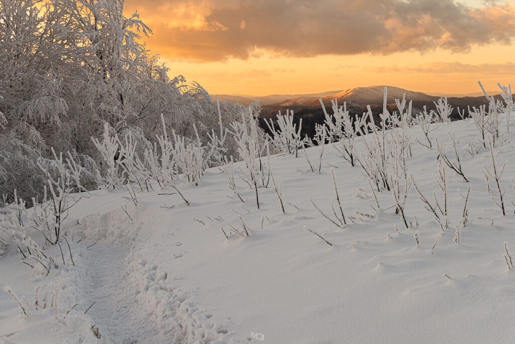 Smerek, Bieszczady, Polska